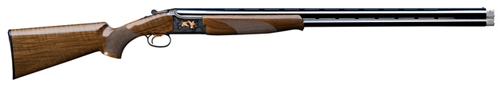 B525 SPORTER PREMIUM GOLD 12M INV+ BRILEY X2